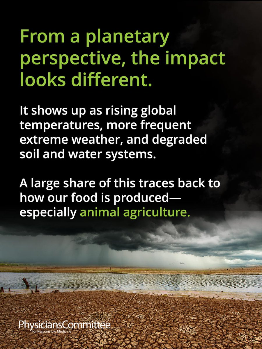 PCRM's tweet image. We don’t usually think about our food when we talk about climate change, but we should.

The global food system produces ~1/3 of all greenhouse gas emissions.

Learn more at PCRM.org/Climate

#ClimateChange #Sustainability #Environment