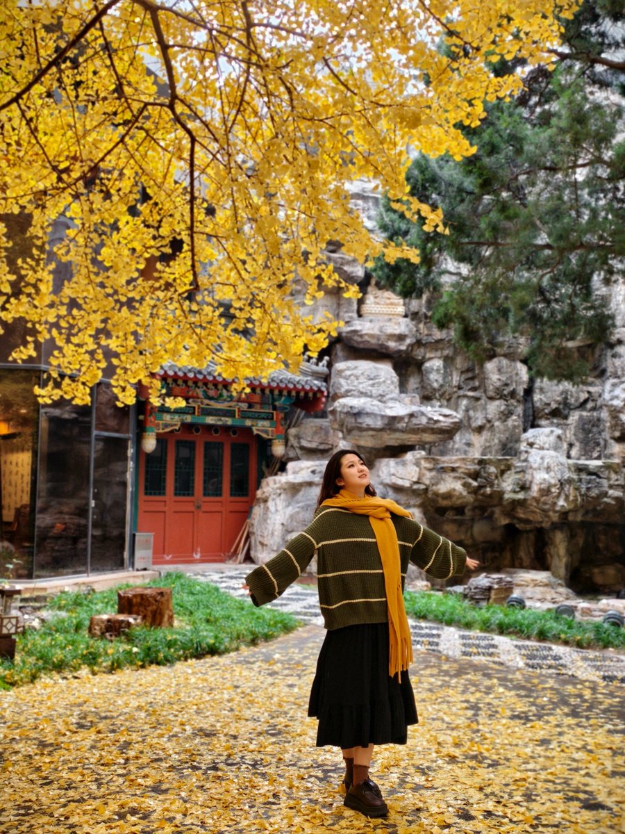 jeffrrmohr tweet media