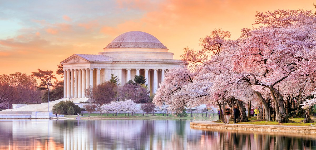 MasonNatSec's tweet image. NEW: NSI Experts in the News

See what topics our experts have been contributing to in our latest NSI Experts in the News article!

Read here: thescif.org/nsi-experts-in…

@MasonNatSec + @georgemasonlaw + @GeorgeMasonU
#nationalsecurity #foreignpolicy #inthenews