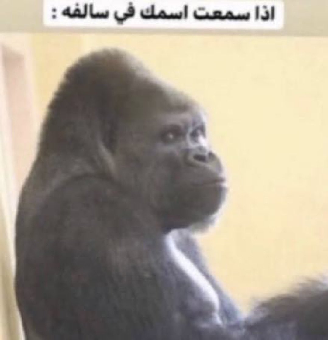 نايف | متصدر تخسي تكلمني tweet media