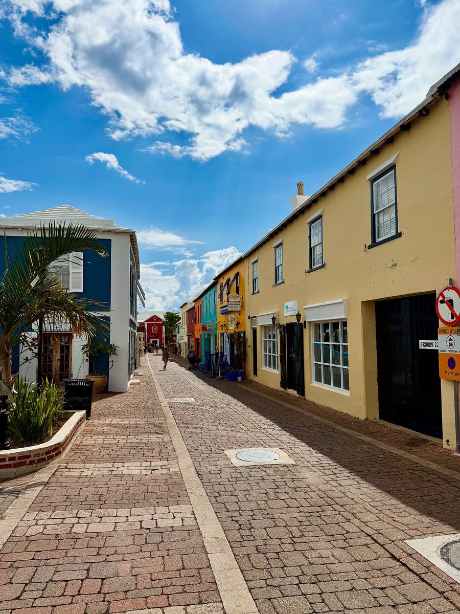 Bermuda tweet media