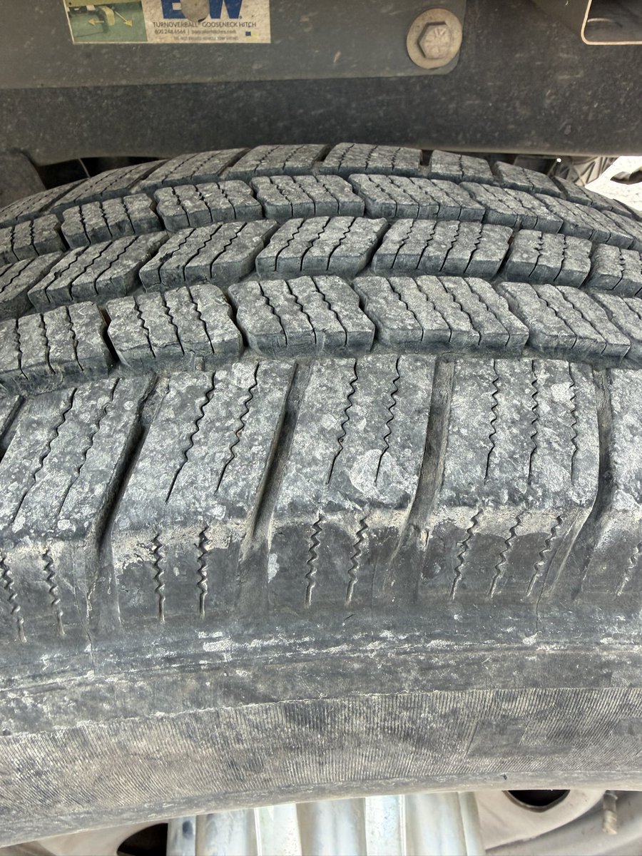 Michael Fiore - Garden Center tweet media