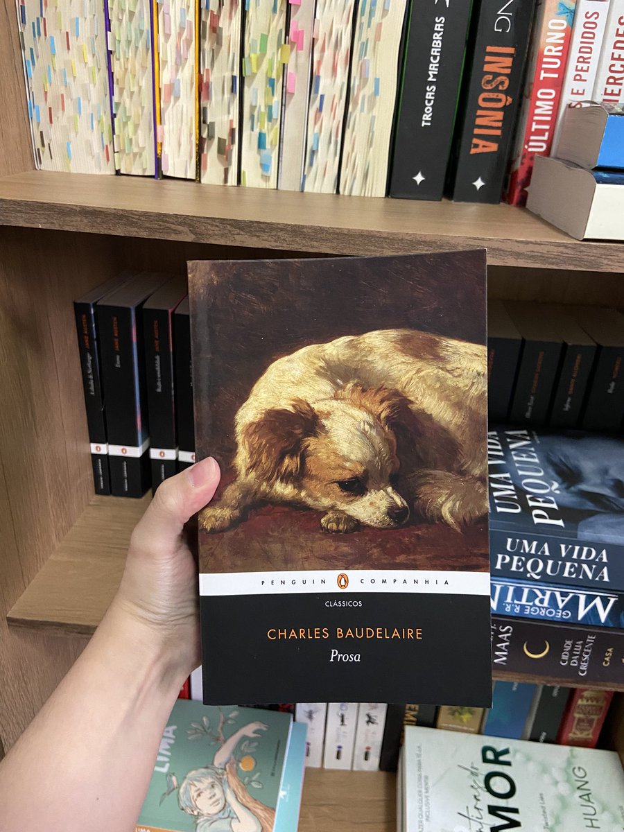 maria 📖🦜 tweet media