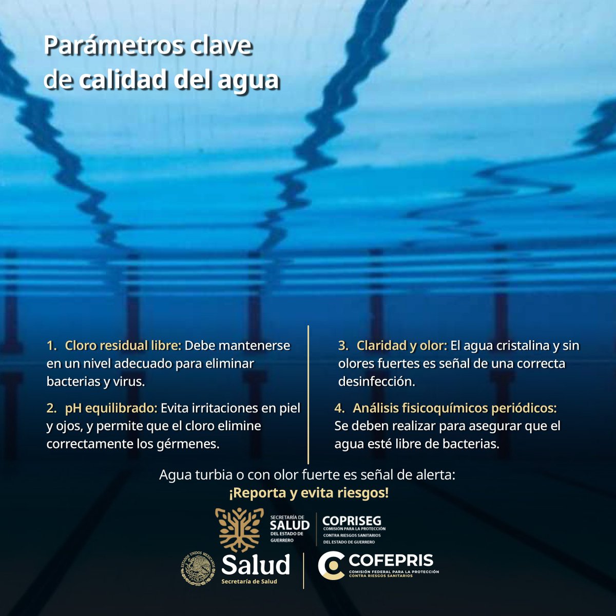 COPRISEG Guerrero tweet media