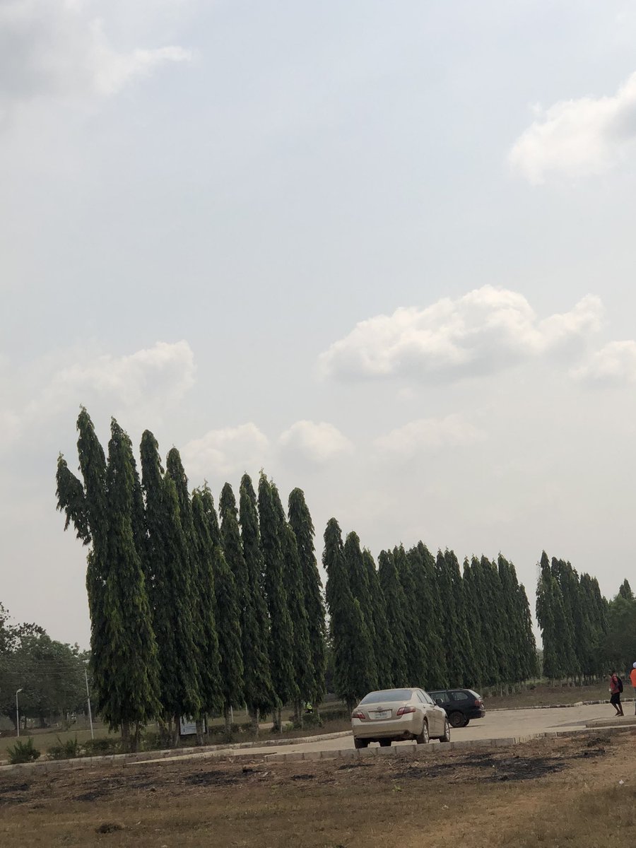 Peculiar_0xx's tweet photo. In @GreenAcresNFT we embrace farmer which help Nature to keep soaring.

Im sure @mirror_web3 love this…
Quote a beautiful tree,grass,or plant you took pictures of .

#embracefarmerGreenAcresNFT https://t.co/grOrKJfZ6i