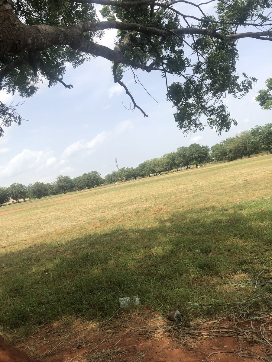 Peculiar_0xx's tweet photo. In @GreenAcresNFT we embrace farmer which help Nature to keep soaring.

Im sure @mirror_web3 love this…
Quote a beautiful tree,grass,or plant you took pictures of .

#embracefarmerGreenAcresNFT https://t.co/grOrKJfZ6i