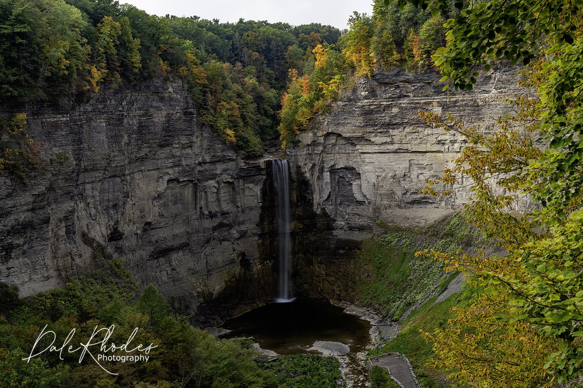 DalePhotography's tweet photo. @DMiller52325459 #NoDescription https://t.co/CZ11DvnyxD