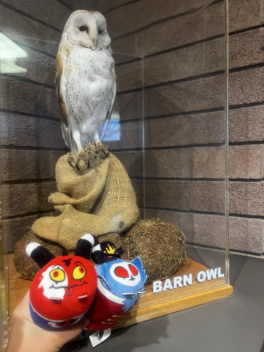 Jess - LVLUP 26 ✨ tweet media