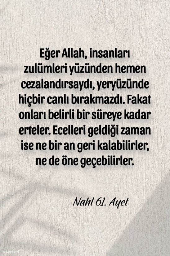 M.yaşar  hamidanoglu tweet media