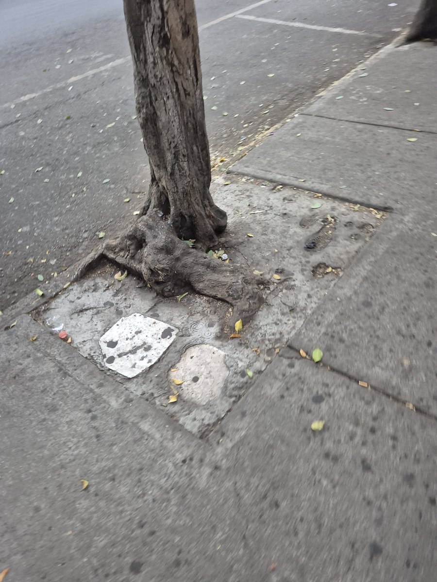CDMX tweet media