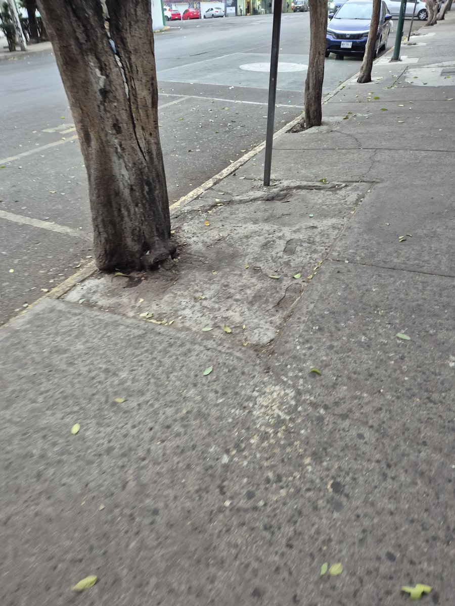 CDMX tweet media