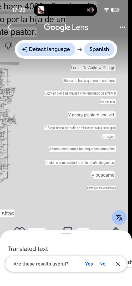 Cel ⭐️ tweet media