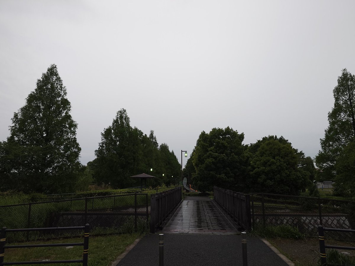 atsu45goal's tweet image. 雨上がり、早朝ラン3キロ。ペース6分56秒/km。
#running