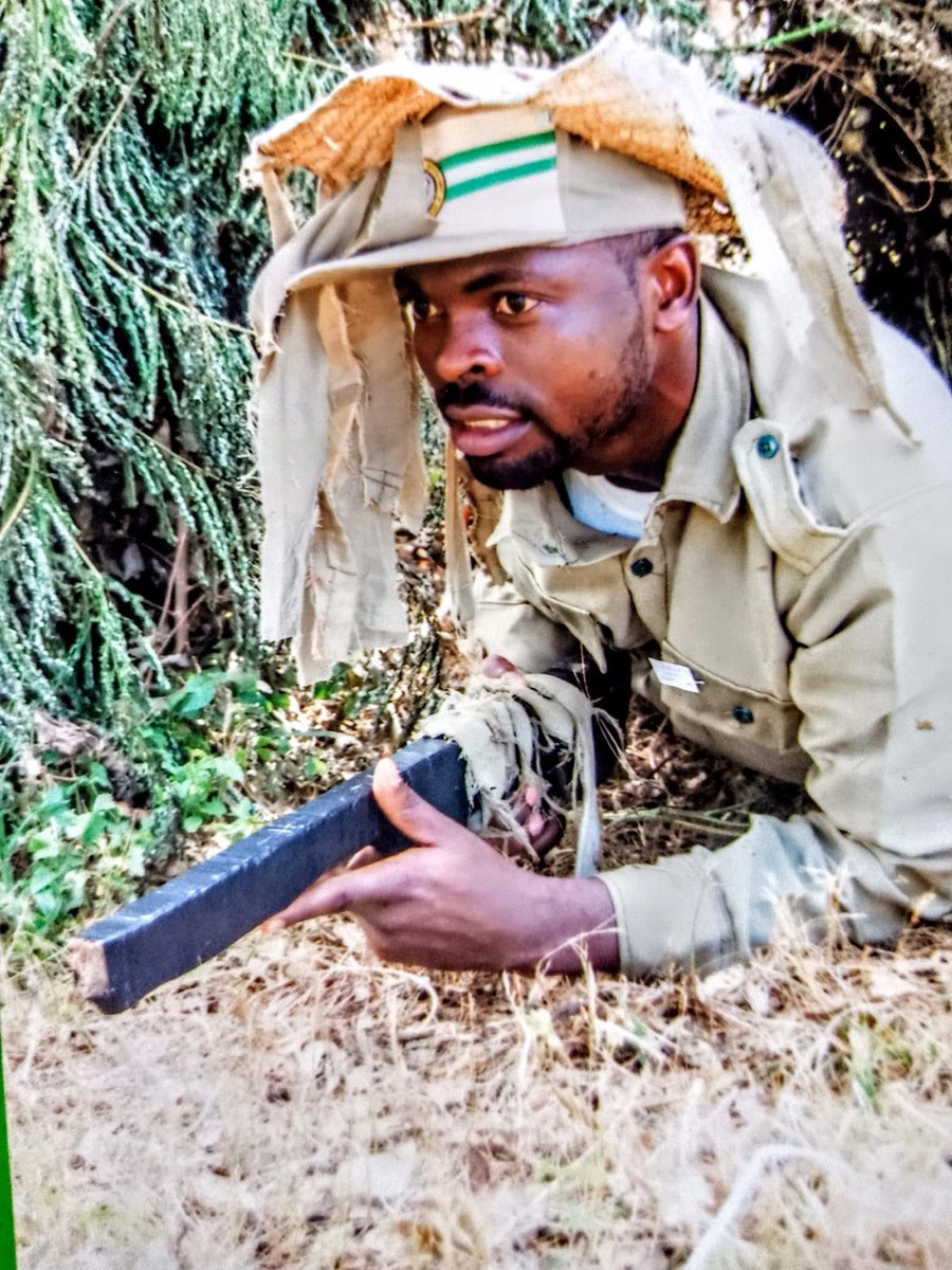 Harry Da Diegot tweet media