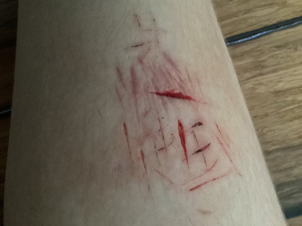 four ,,shedtwt tweet media