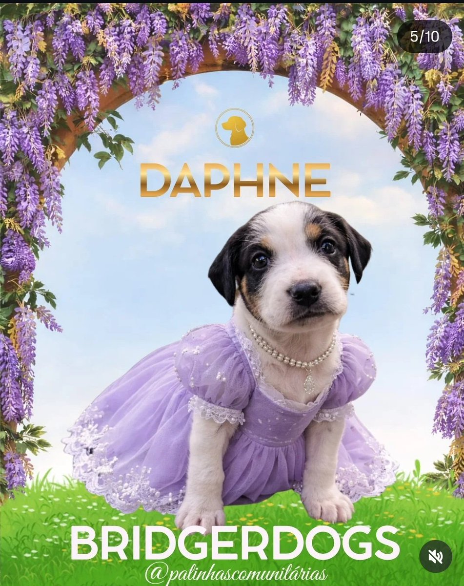 𝑬𝒍𝒊𝒔 tweet media