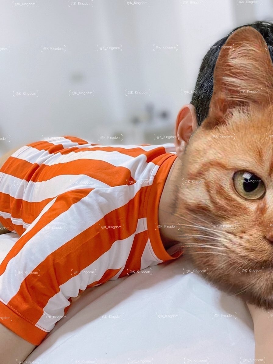 K_Kingdom tweet media