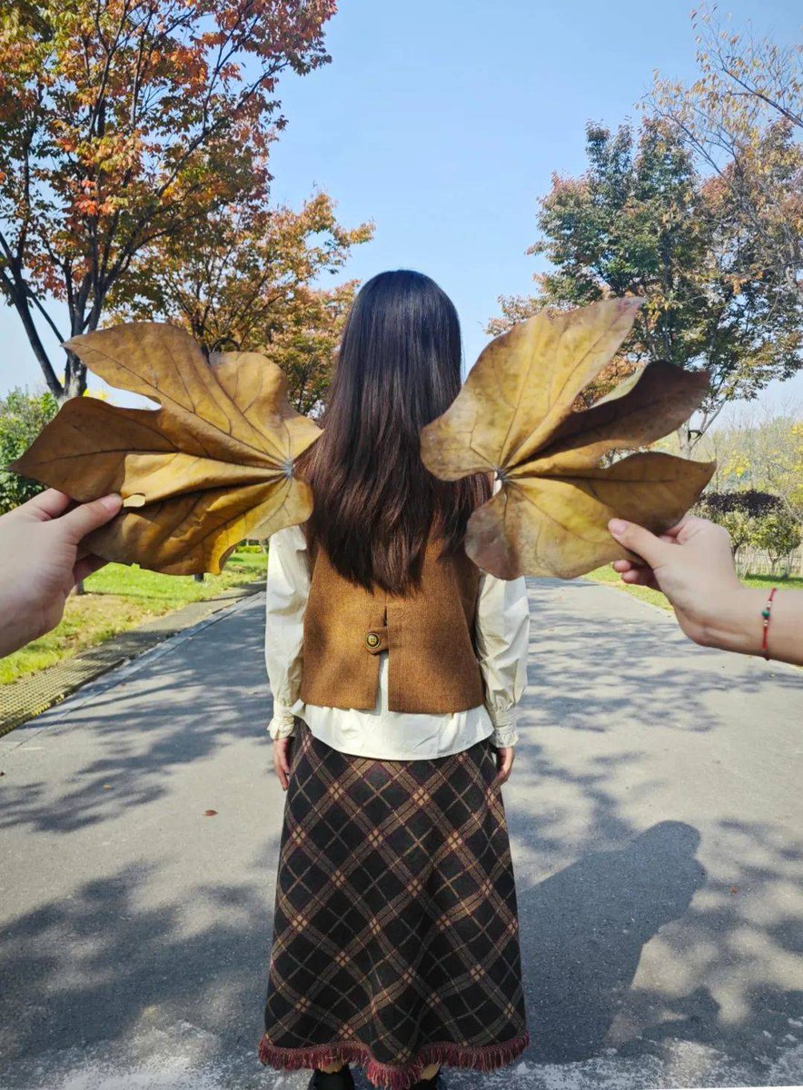 solange pizarro tweet media