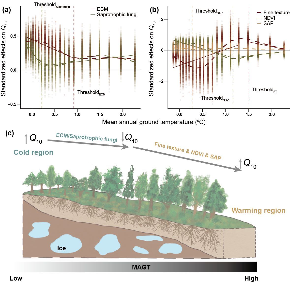 Global Change Biology tweet media