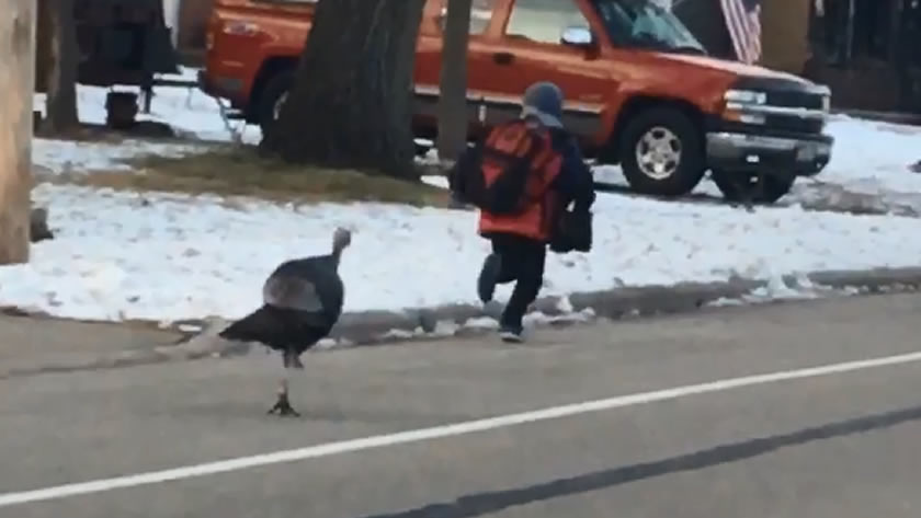 Girlie_JC tweet media