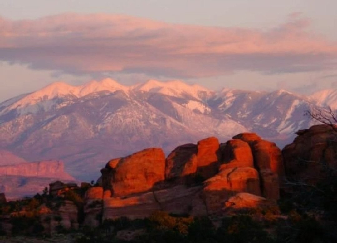 Mary ☮️ tweet media