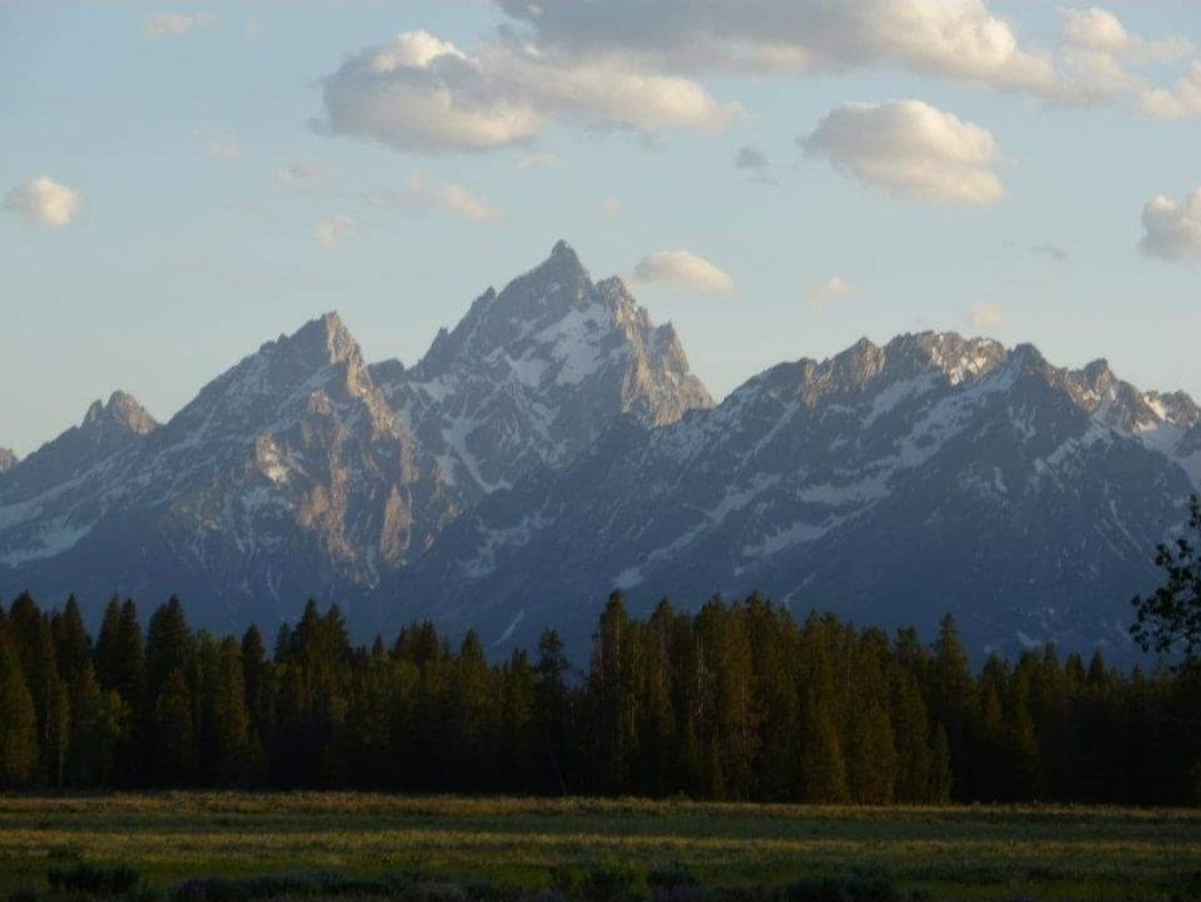 Mary ☮️ tweet media