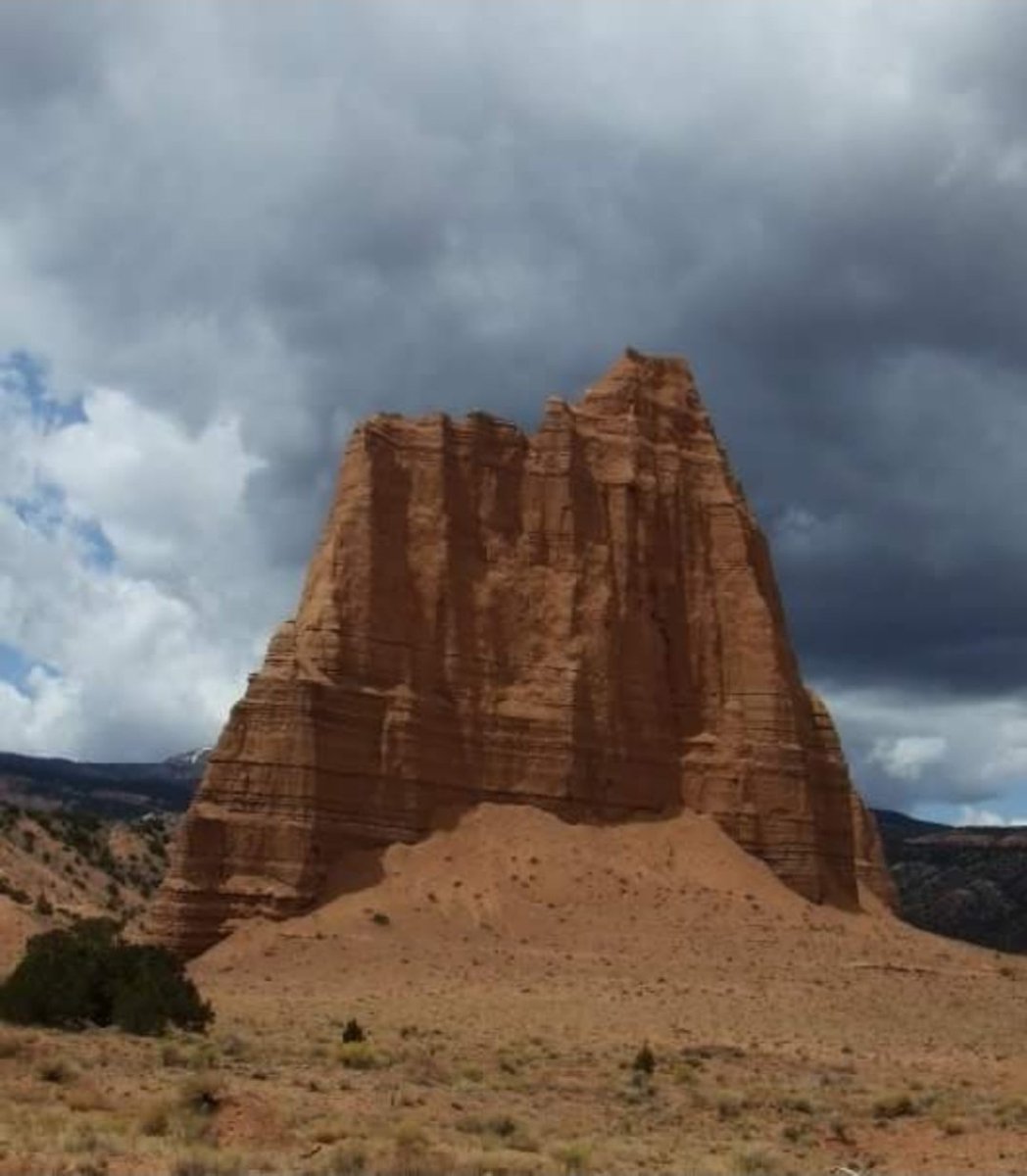 Mary ☮️ tweet media