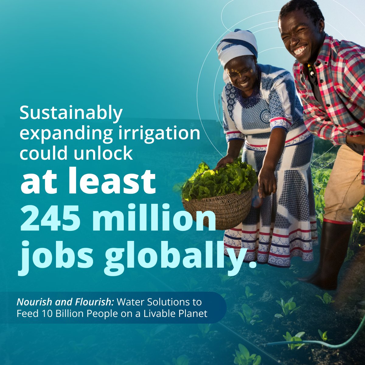 WBGPubs's tweet photo. Feeding 10 billion people by 2050 on a livable planet means balancing food production, and #WaterUse.
Our new report, #NourishandFlourish, shows how smarter agricultural water use can boost yields, jobs, and ecosystems—creating up to 245M jobs: https://t.co/PlxII473sQ https://t.co/sRc3pl6Qps