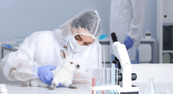 🌍🐀🔬 Aujourd'hui, c’est la journée internationale des animaux de laboratoire. Elle a été instaurée pour dénoncer les pratiques de maltraitance sur ces derniers.