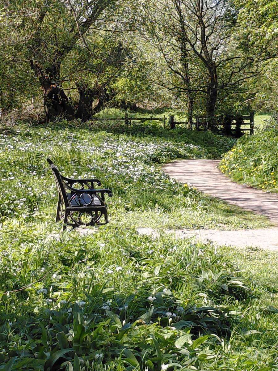 My Favourite Bench tweet media