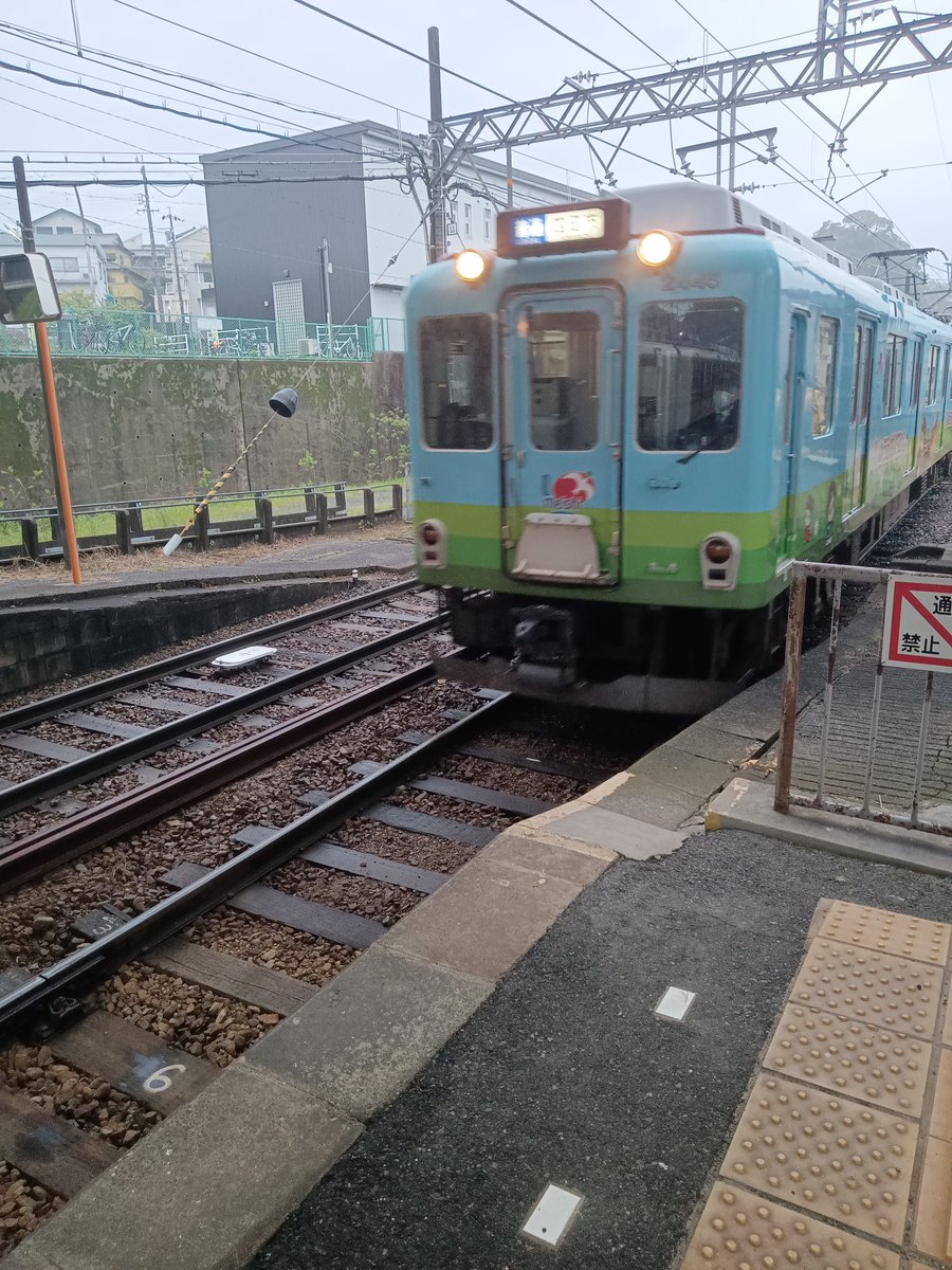 おかぴぃ tweet media