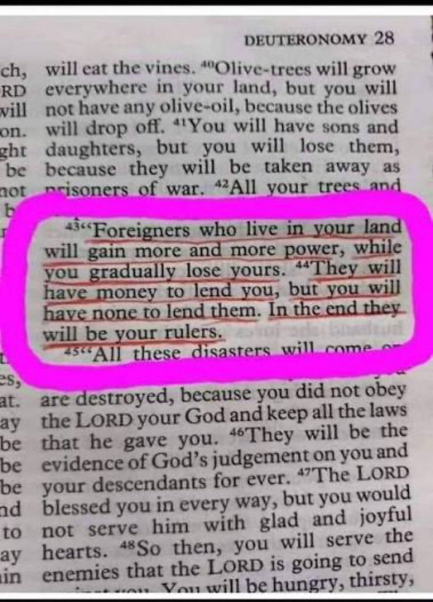 PNWGUERRILLA tweet media