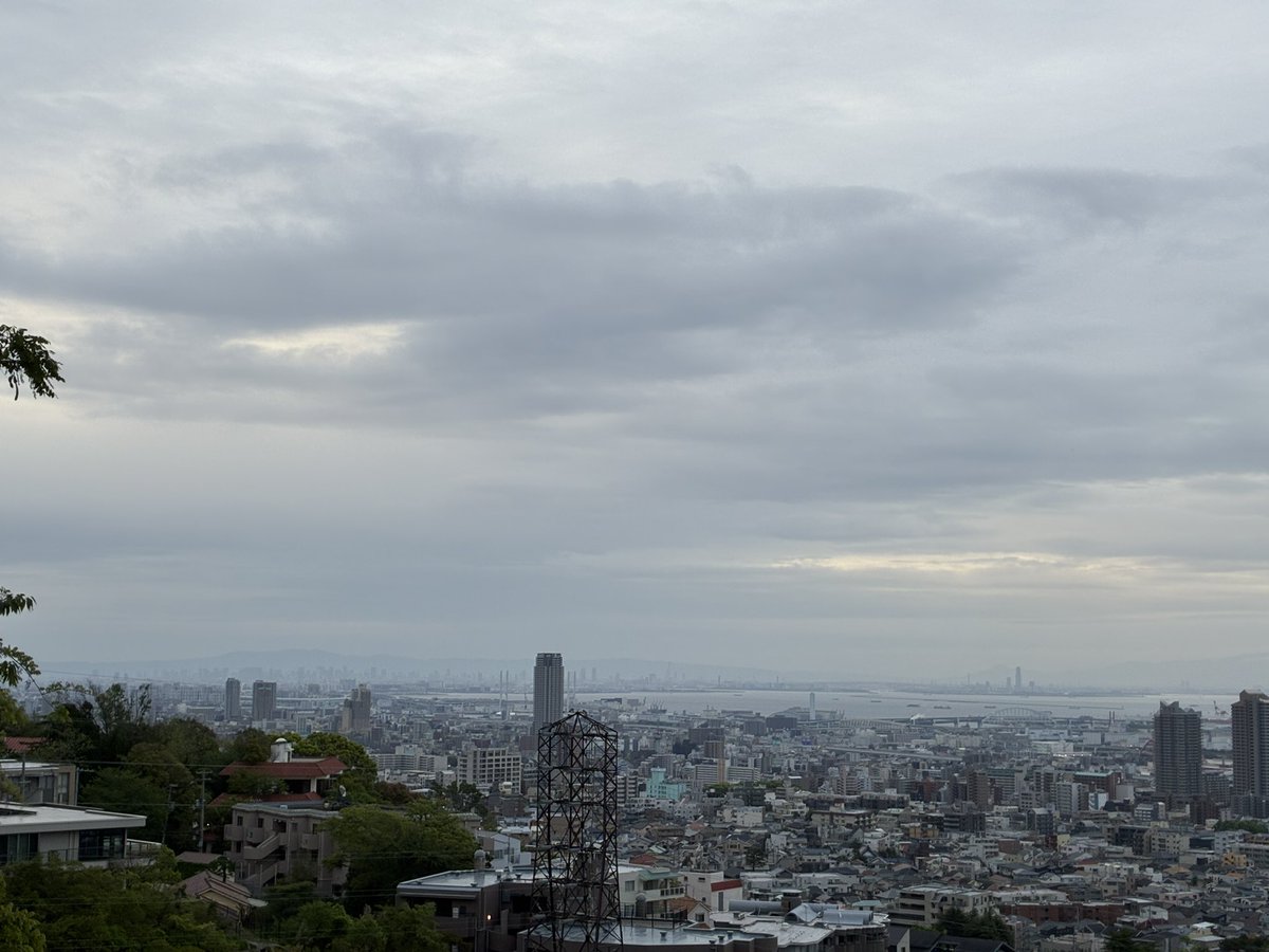 ふとっちょ tweet media