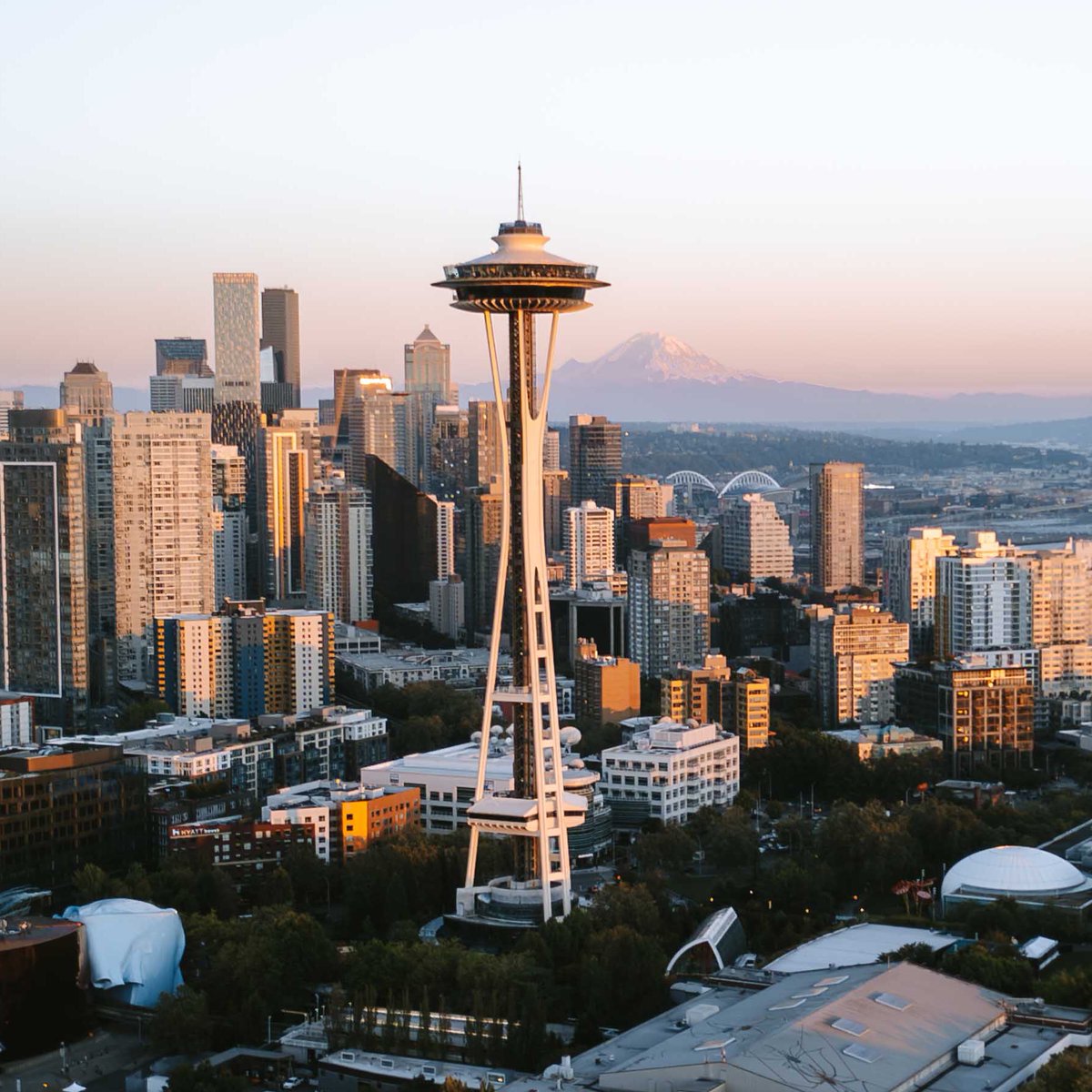 SEATTLESUBMISSIONS tweet media