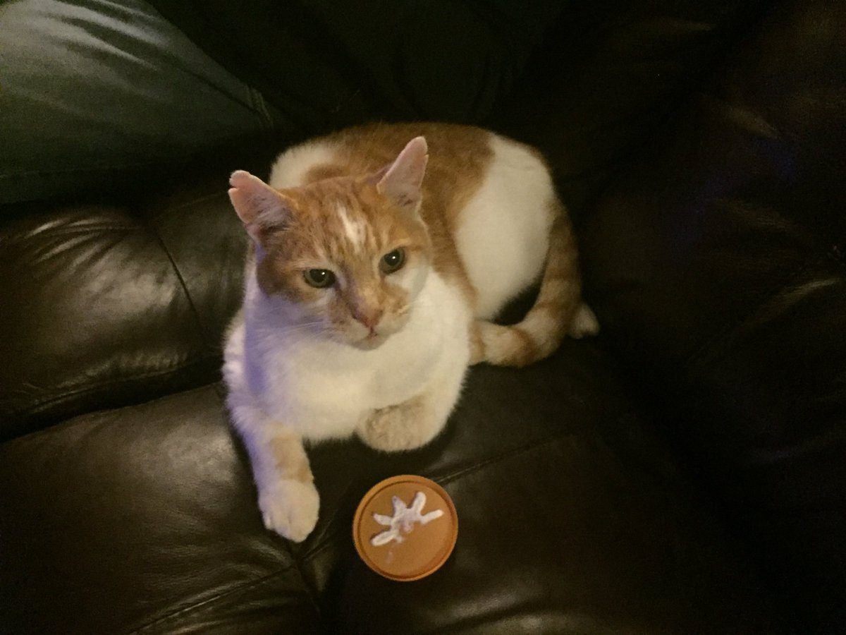 Miranda C tweet media