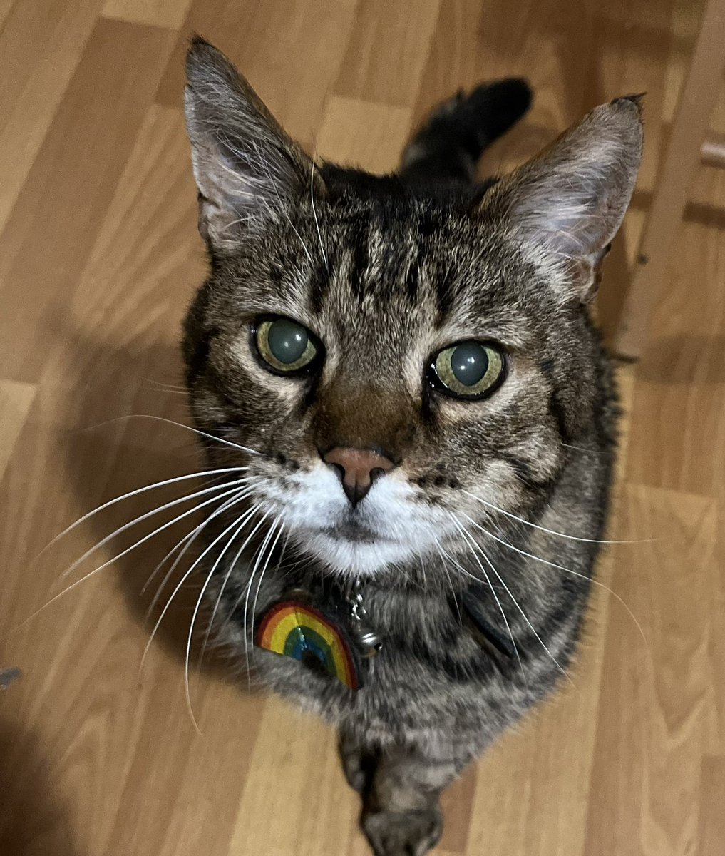 Miranda C tweet media