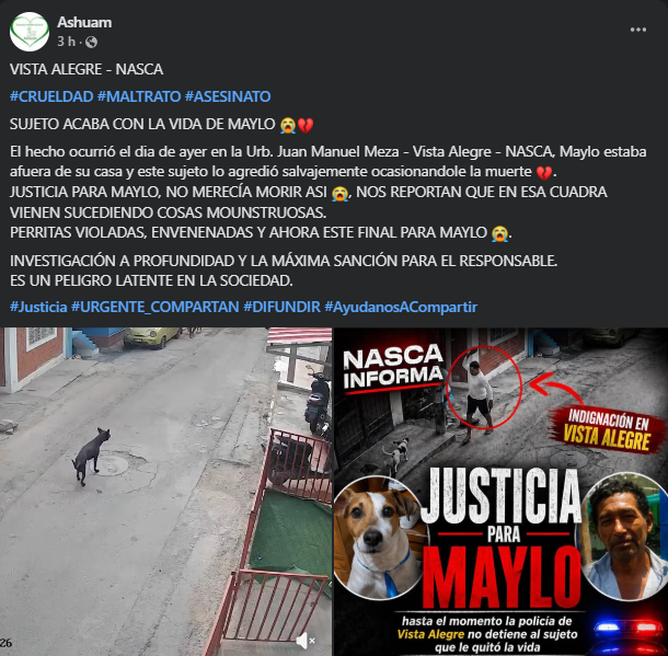 NoSpoiler tweet media