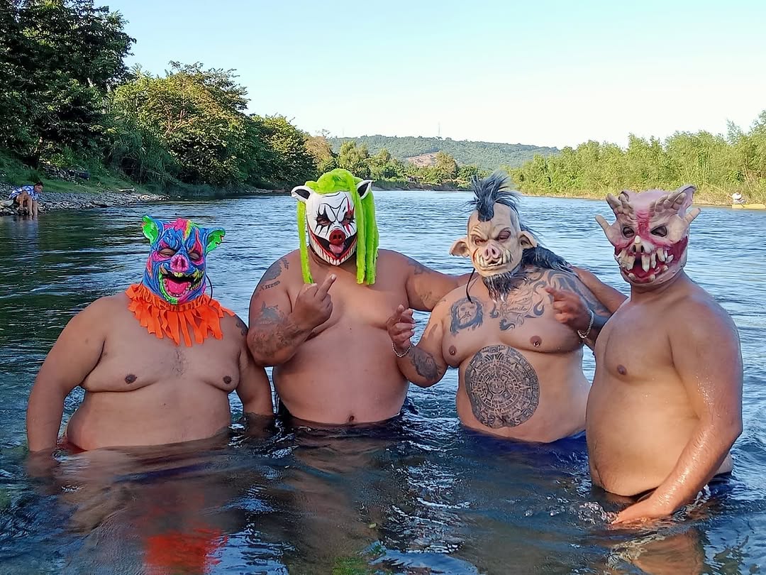 🏉🐻 tweet media