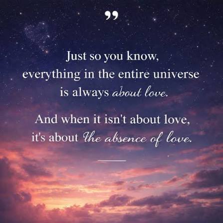 🎀🧸 tweet media