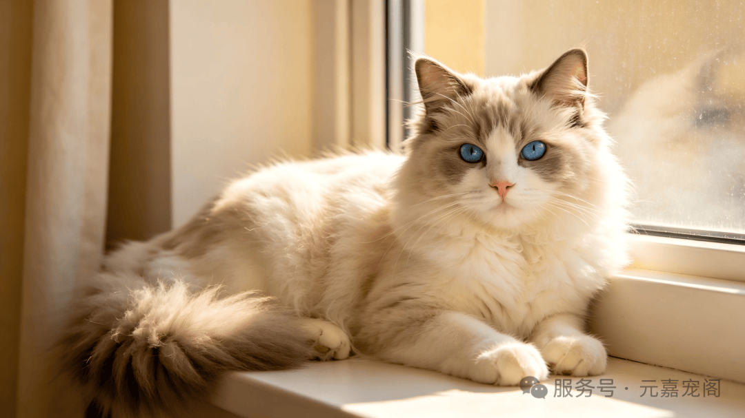 Михаил Копа tweet media