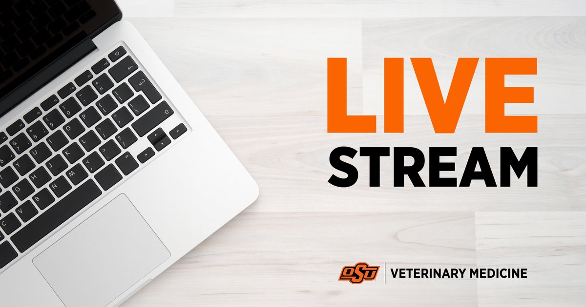 OKStateVetMed tweet media