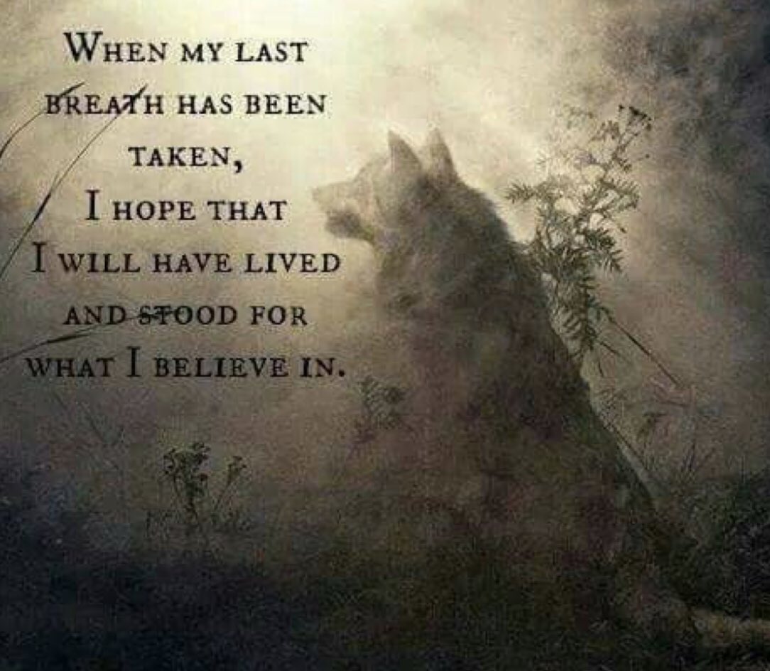 Wipapa5's tweet image. Thank you so much Wolfy! 🙏🙏🙏 #BlueCats are indeed #BlueToTheCore because much like the lone wolf, we stand for what we believe in. #CATifa members rock! ✌️🐈💙🐈‍⬛👊