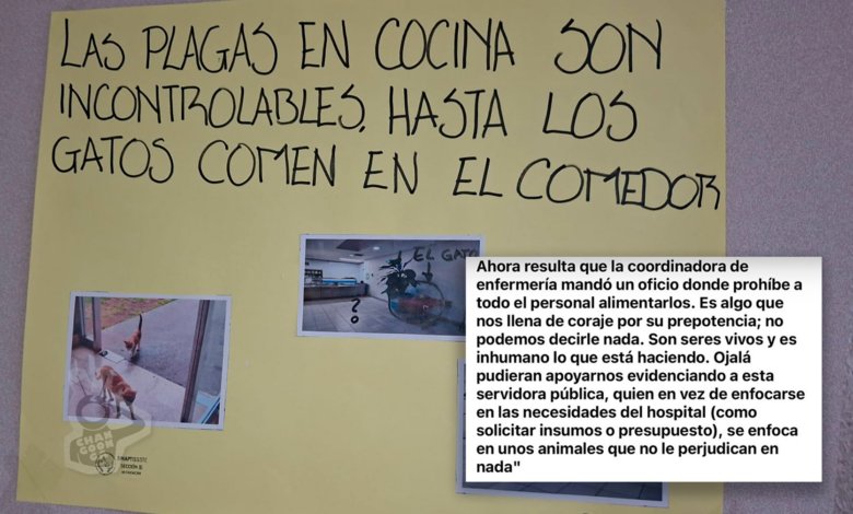 Changoonga.com tweet media