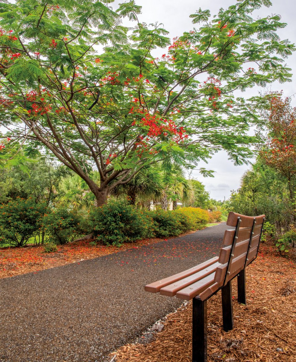 visitlauderdale's tweet image. Play, explore, repeat 🌿💦

Cypress Preserve Conservation Park brings the fun with a splash pad, disc golf, and nature trails with workout stops along the way.

📍: 9020 NW 38th St, Sunrise, FL 33351
#naturelover #sunriseflorida #outdooradventures #broward #adventureflorida