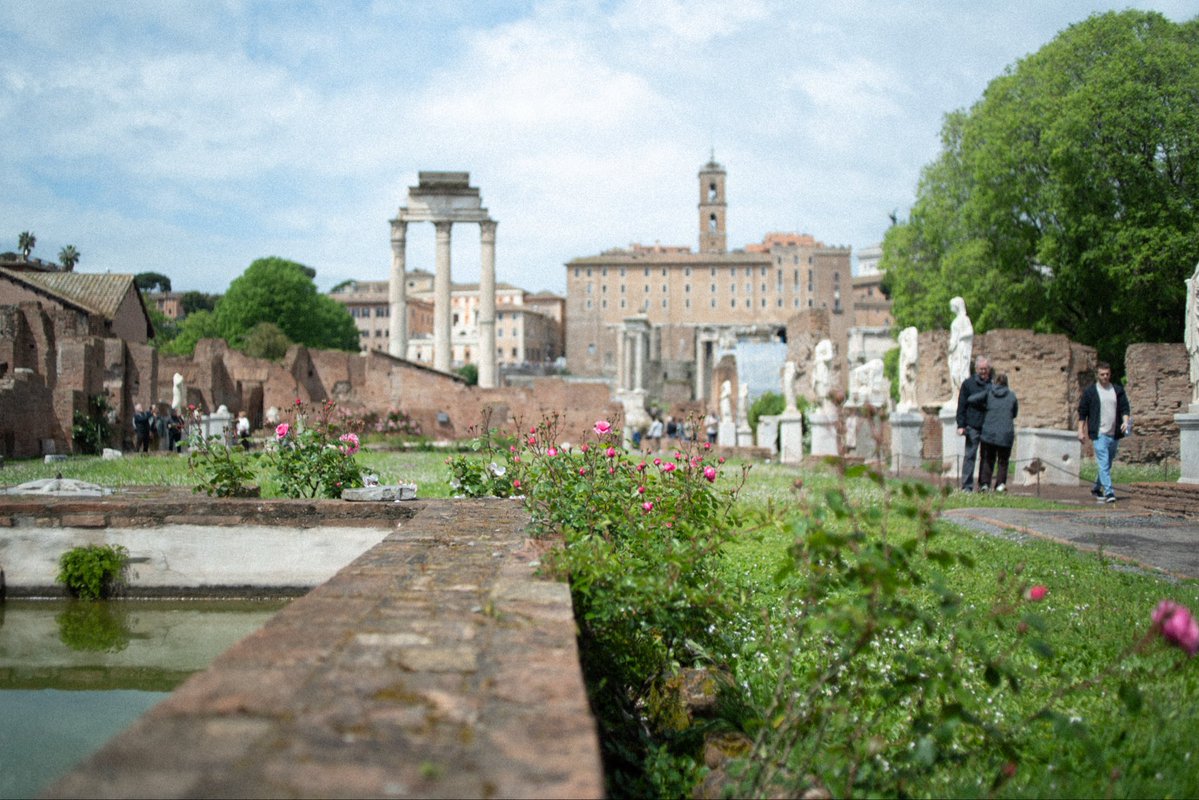 Roma…
Vintage Nikon and Zeiss glass.