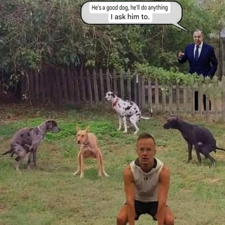 Acrobatic Split tweet media