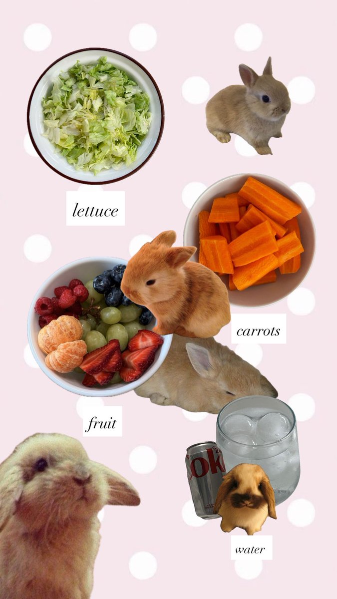 angel 🪽 tweet media