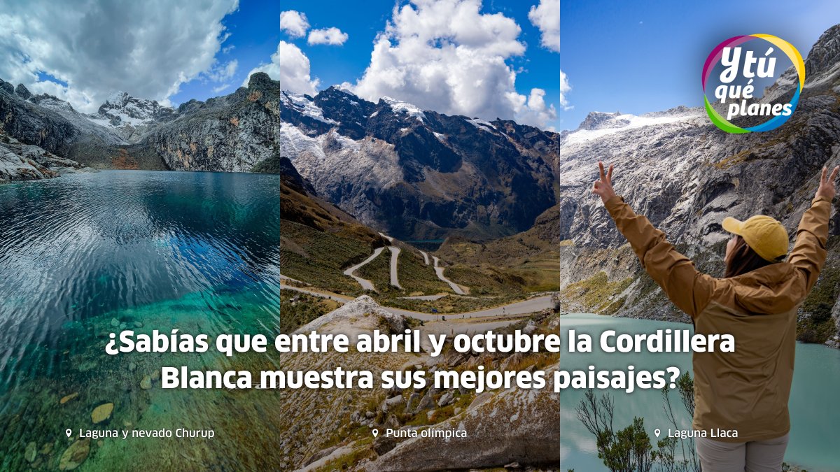Y tú qué planes tweet media