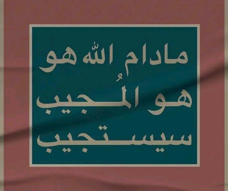 عليـــاء 🕊 tweet media