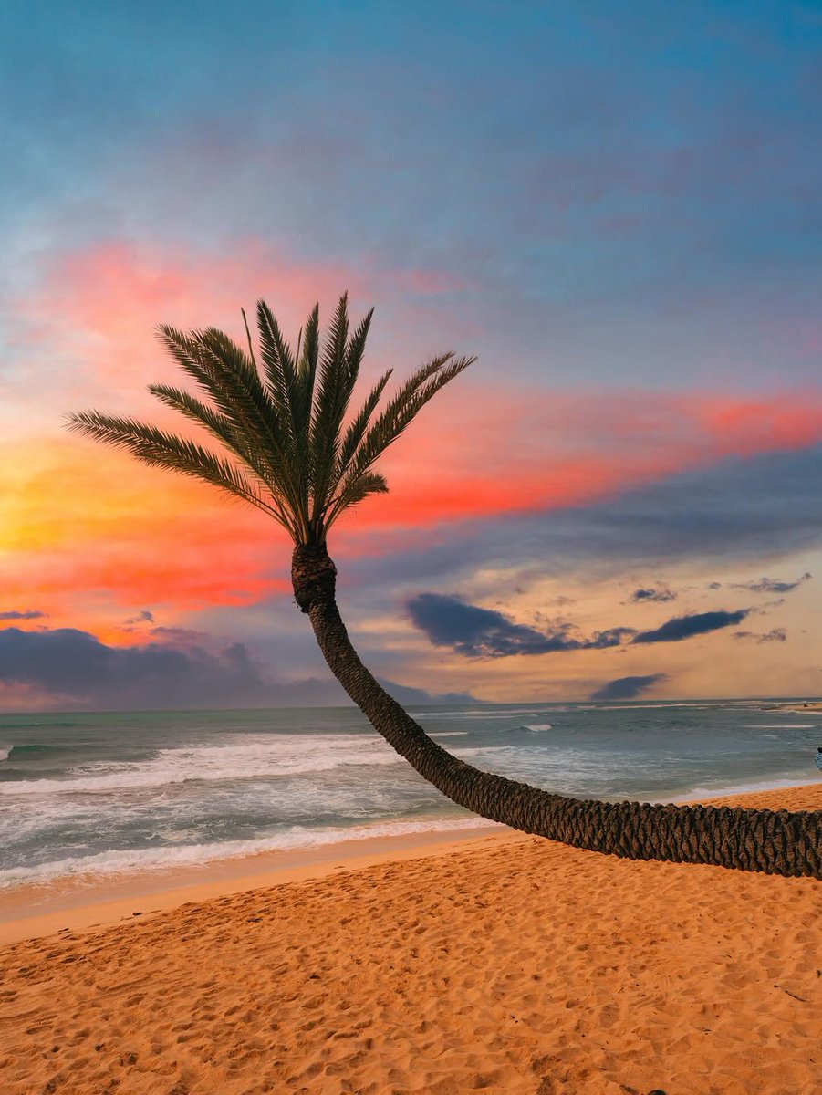 Nature🍃 tweet media